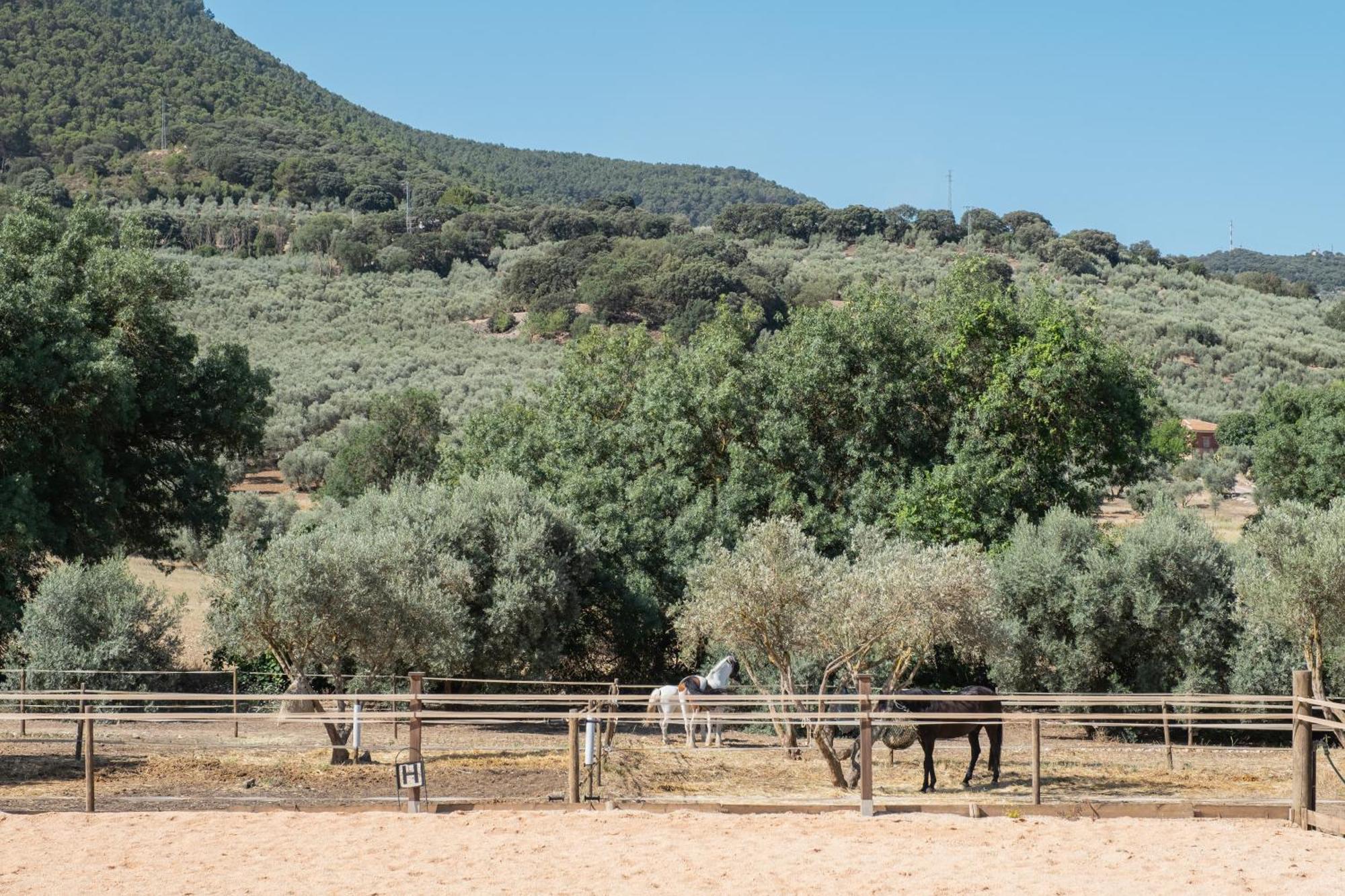 Pasa Fina, Luxury Holiday Retreat فيلانويفا ديل ترابوكو المظهر الخارجي الصورة